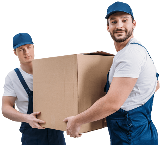 Best Muscat Movers